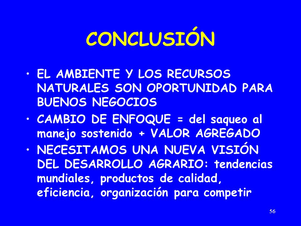 CONCLUSIÓN EL AMBIENTE Y LOS RECURSOS NATURALES SON OPORTUNIDAD PARA BUENOS NEGOCIOS.