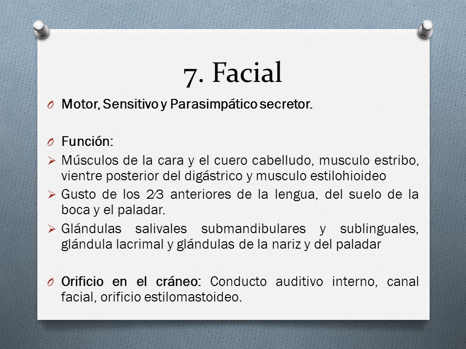 7. Facial Motor, Sensitivo y Parasimpático secretor. Función: