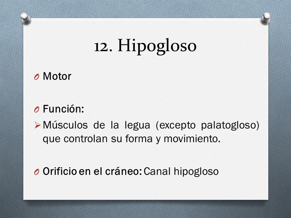 12. Hipogloso Motor Función: