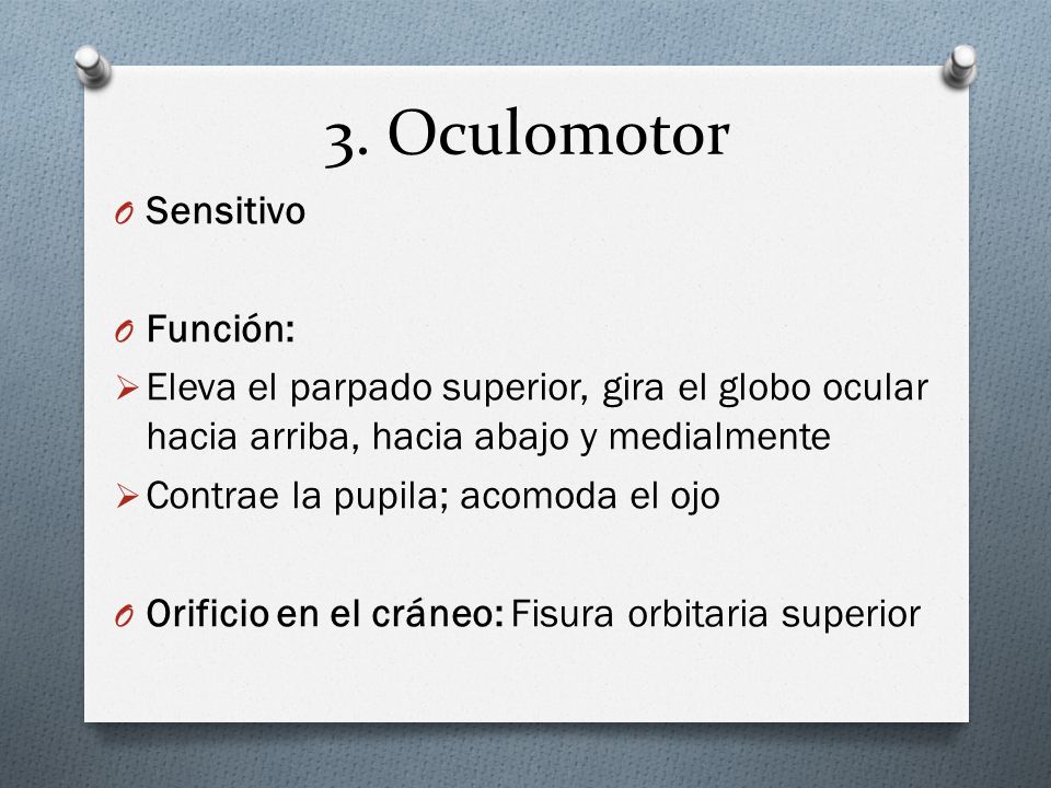 3. Oculomotor Sensitivo Función: