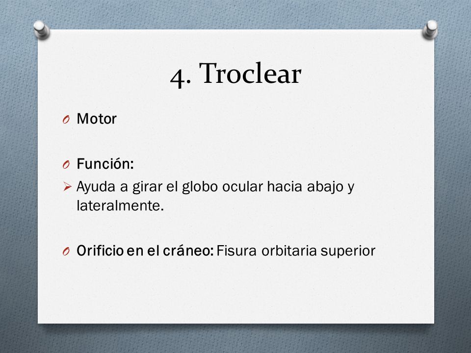 4. Troclear Motor Función: