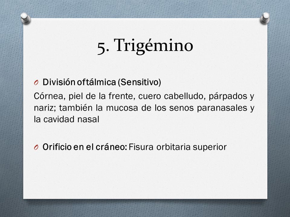 5. Trigémino División oftálmica (Sensitivo)