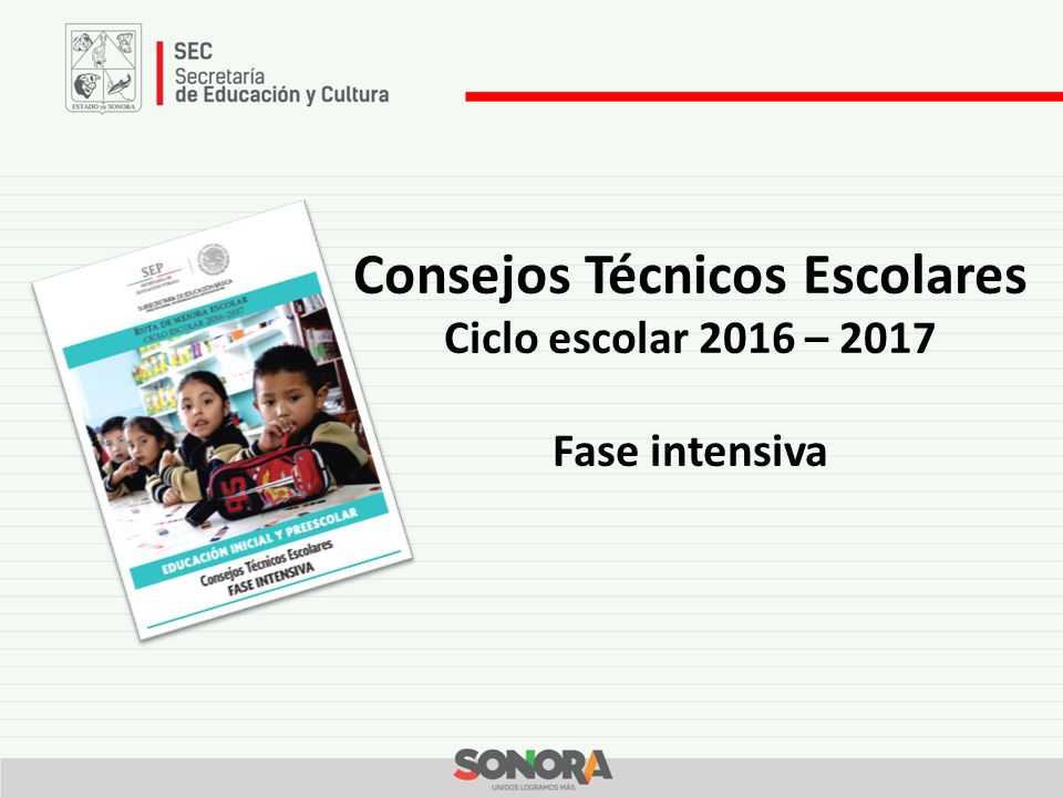 Consejos Técnicos Escolares Ciclo escolar 2016 – 2017 Fase intensiva