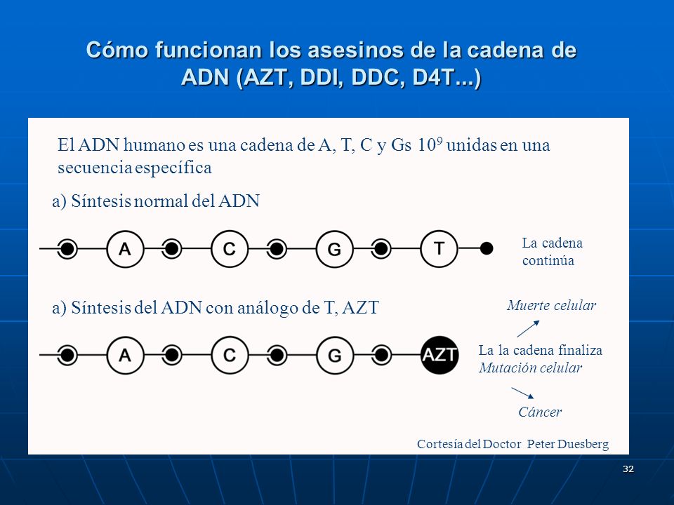 Cómo funcionan los asesinos de la cadena de ADN (AZT, DDI, DDC, D4T...)