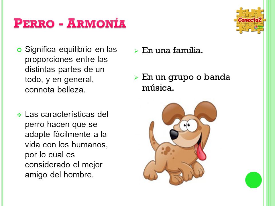 Perro - Armonía En una familia. En un grupo o banda música.