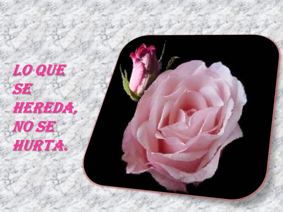 LO QUE SE HEREDA, NO SE HURTA.