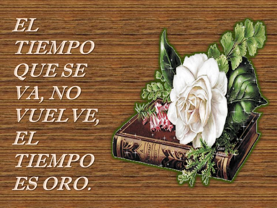 EL TIEMPO QUE SE VA, NO VUELVE, EL TIEMPO ES ORO.
