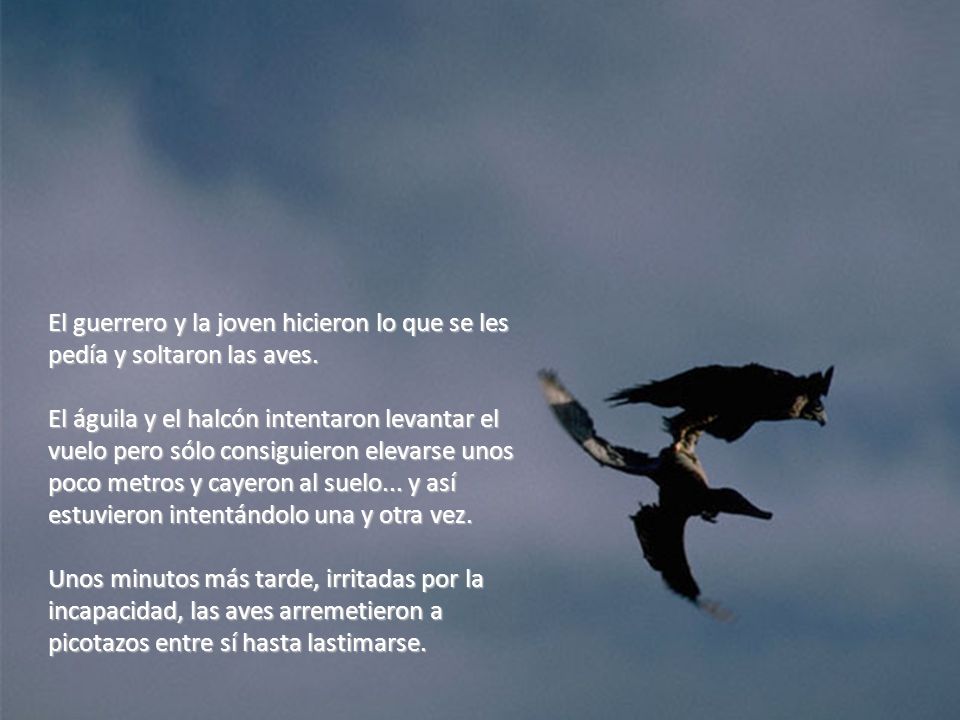 El guerrero y la joven hicieron lo que se les pedía y soltaron las aves.