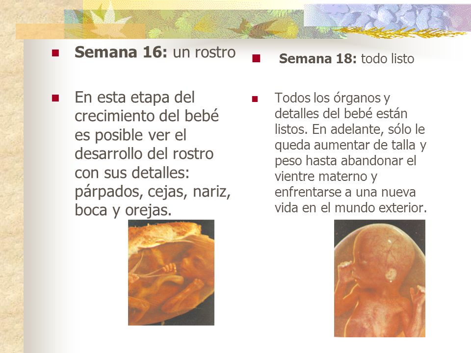 Semana 18: todo listo Semana 16: un rostro