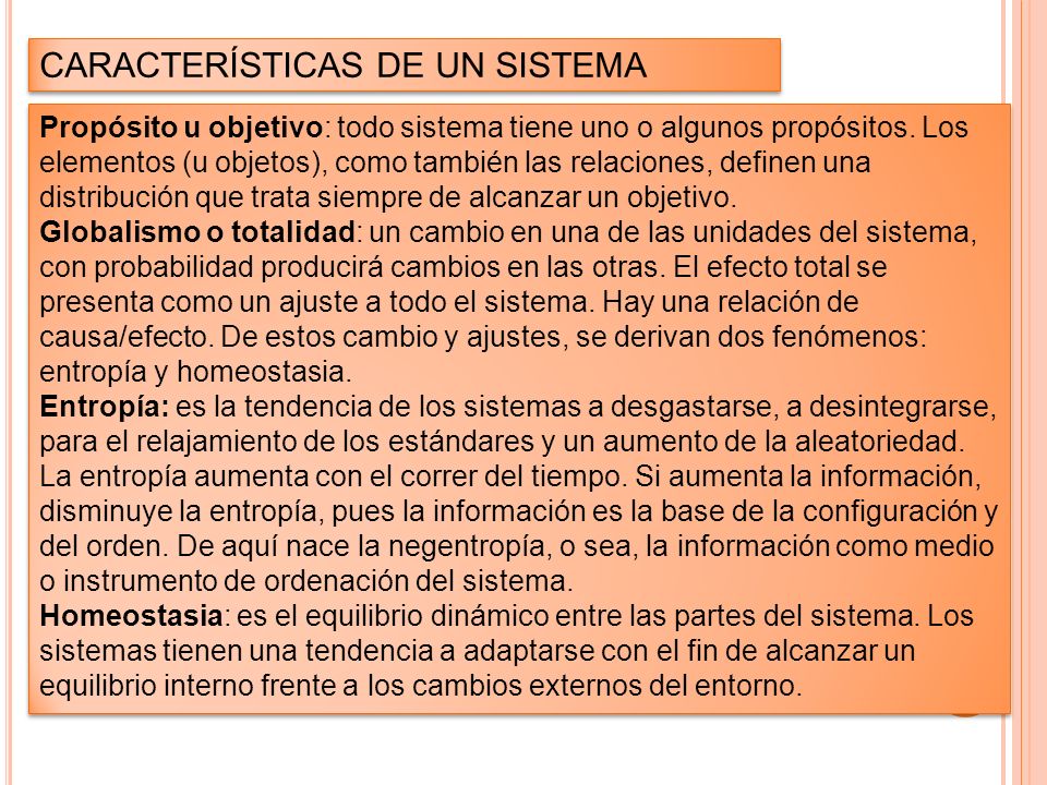 CARACTERÍSTICAS DE UN SISTEMA