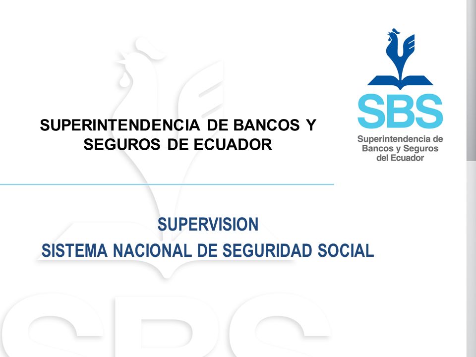 SUPERVISION SISTEMA NACIONAL DE SEGURIDAD SOCIAL