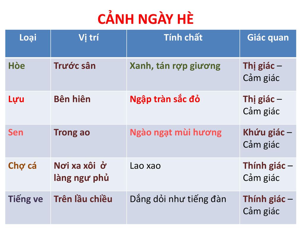 CẢNH NGÀY HÈ Loại Vị trí Tính chất Giác quan Hòe Trước sân