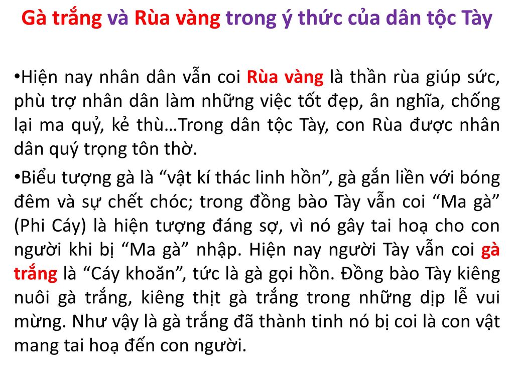 Gà trắng và Rùa vàng trong ý thức của dân tộc Tày