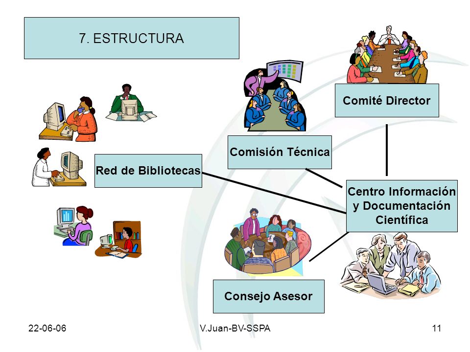 7. ESTRUCTURA Comité Director Comisión Técnica Red de Bibliotecas