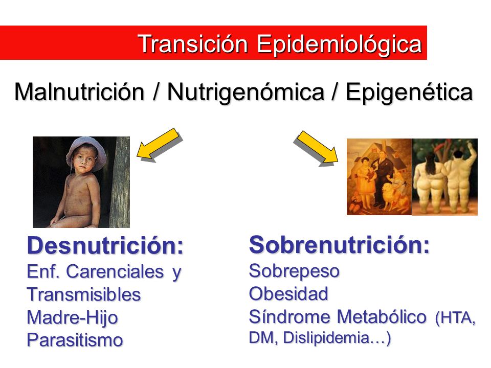 Malnutrición / Nutrigenómica / Epigenética
