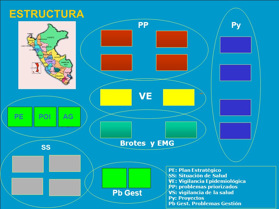 ESTRUCTURA VE PP Py Pb Gest PE POI AG POI Brotes y EMG SS