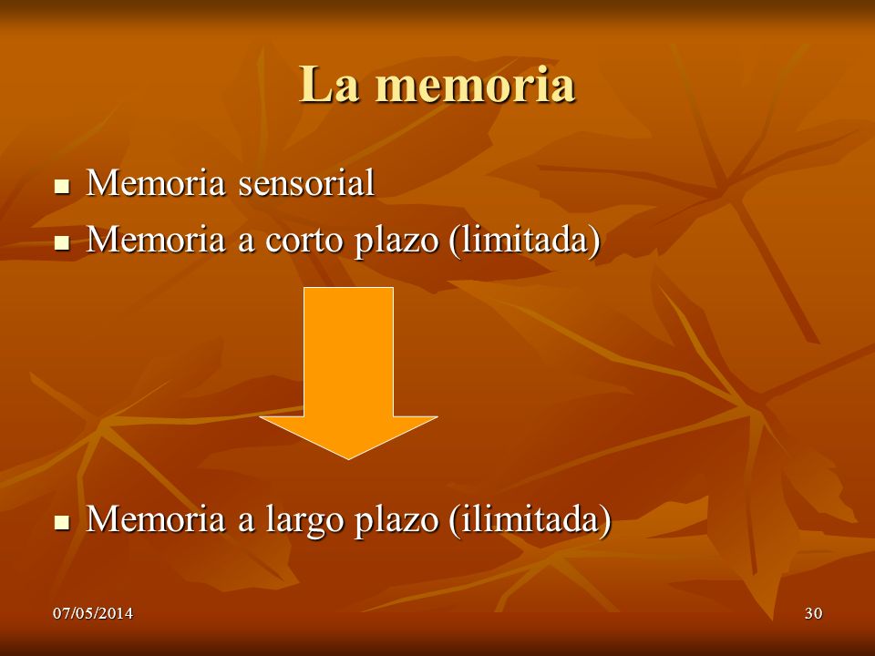 La memoria Memoria sensorial Memoria a corto plazo (limitada)