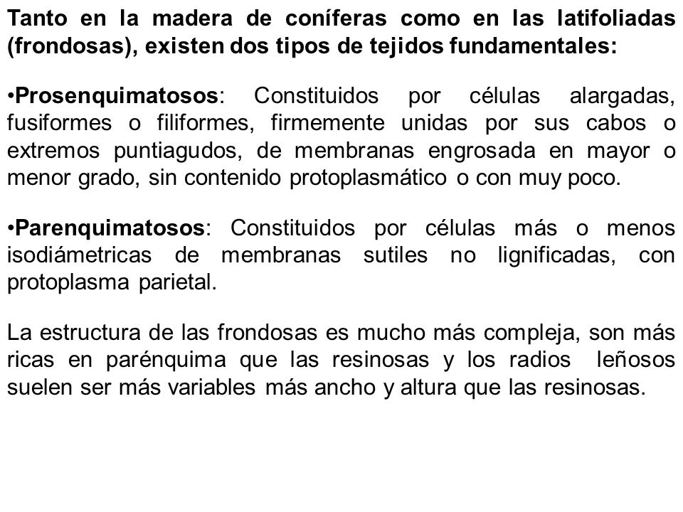 Tanto en la madera de coníferas como en las latifoliadas (frondosas), existen dos tipos de tejidos fundamentales: