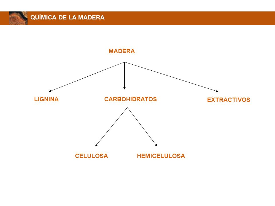 QUÍMICA DE LA MADERA MADERA LIGNINA CARBOHIDRATOS EXTRACTIVOS CELULOSA HEMICELULOSA