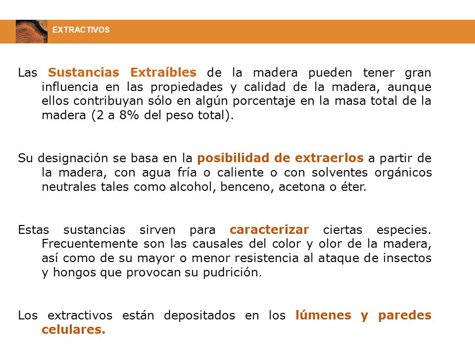 Los extractivos están depositados en los lúmenes y paredes celulares.