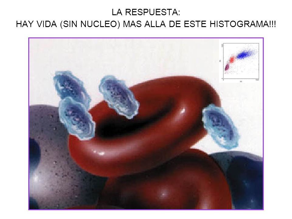 LA RESPUESTA: HAY VIDA (SIN NUCLEO) MAS ALLA DE ESTE HISTOGRAMA!!!