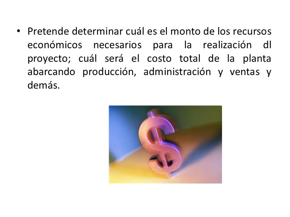Pretende determinar cuál es el monto de los recursos económicos necesarios para la realización dl proyecto; cuál será el costo total de la planta abarcando producción, administración y ventas y demás.