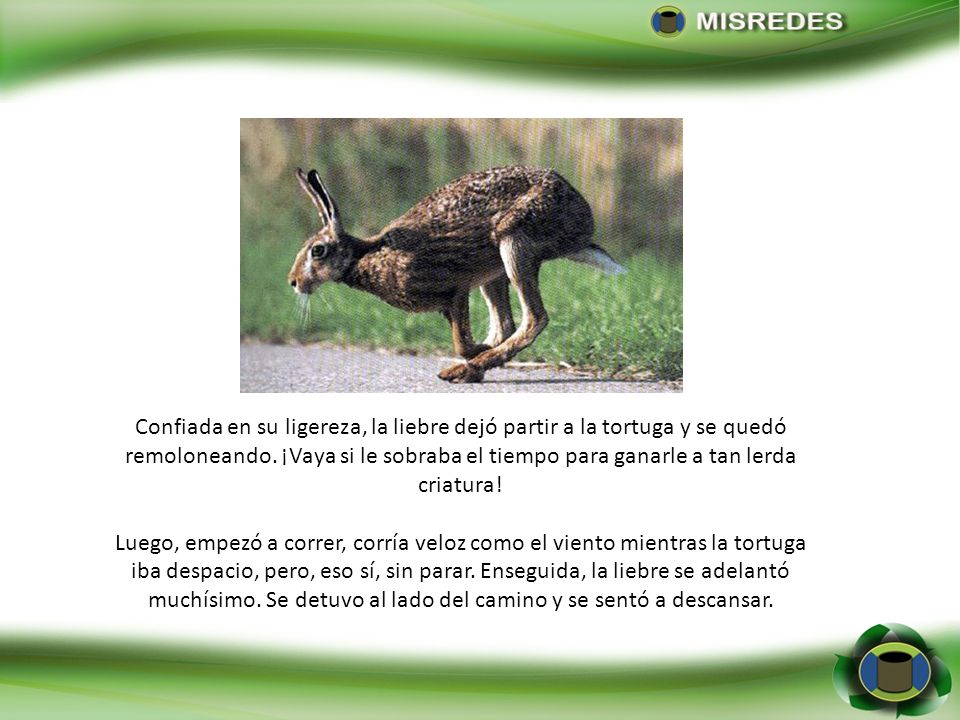 Confiada en su ligereza, la liebre dejó partir a la tortuga y se quedó remoloneando. ¡Vaya si le sobraba el tiempo para ganarle a tan lerda criatura!