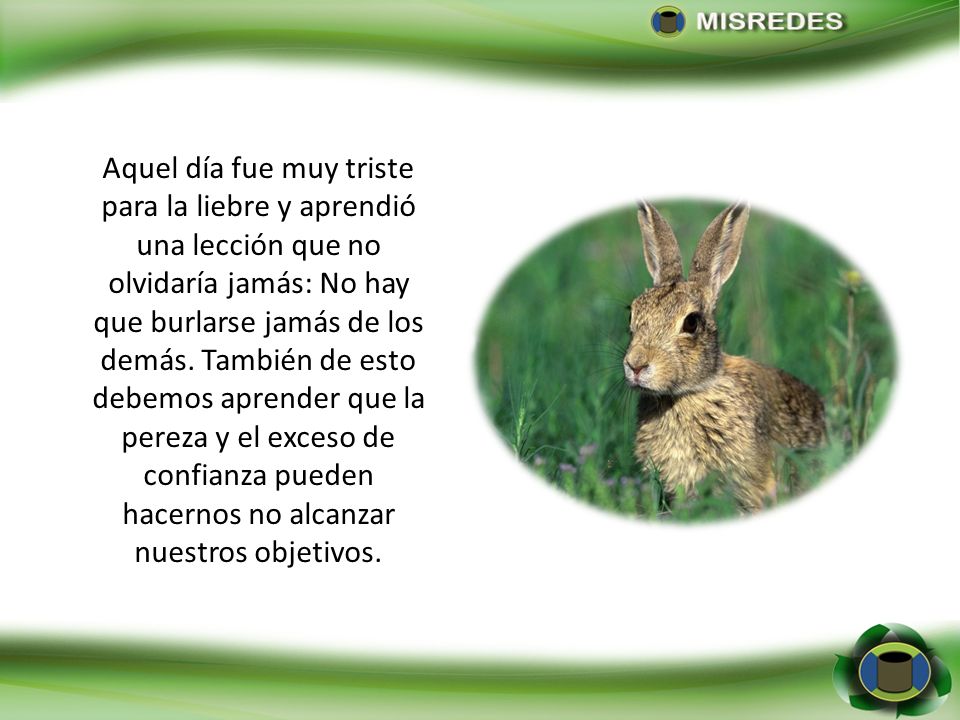 Aquel día fue muy triste para la liebre y aprendió una lección que no olvidaría jamás: No hay que burlarse jamás de los demás.