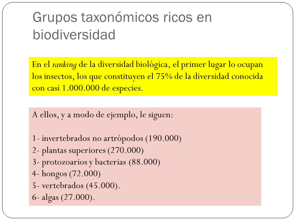 Grupos taxonómicos ricos en biodiversidad