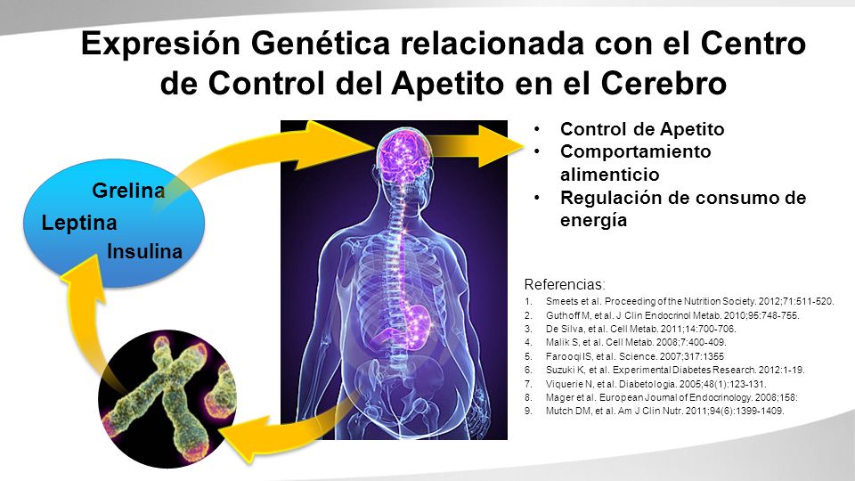 Expresión Genética relacionada con el Centro de Control del Apetito en el Cerebro