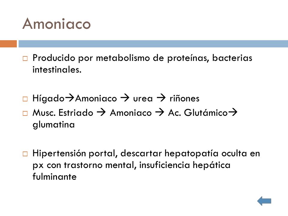 Amoniaco Producido por metabolismo de proteínas, bacterias intestinales. HígadoAmoniaco  urea  riñones.
