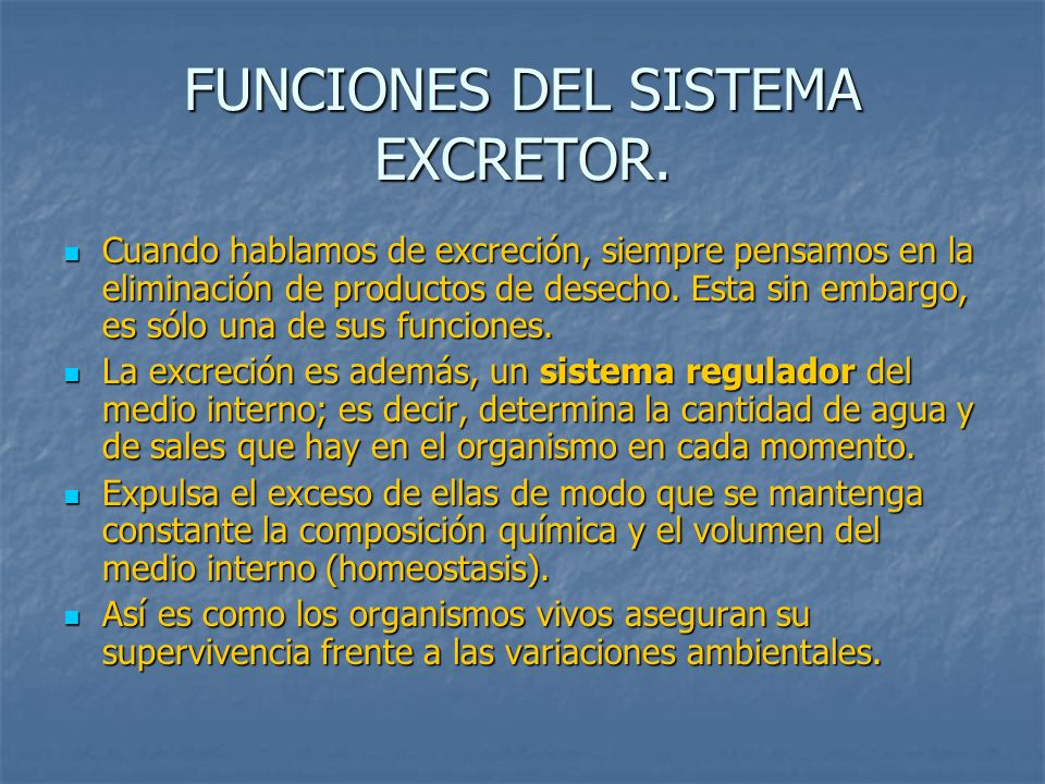 FUNCIONES DEL SISTEMA EXCRETOR.
