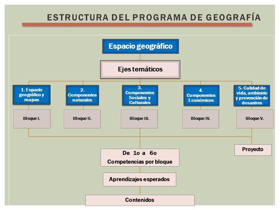 Estructura del programa de GEOGRAFÍA