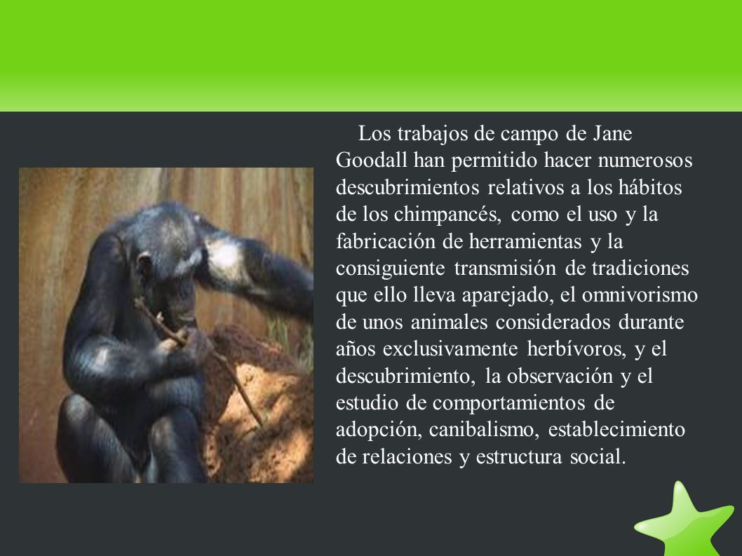 Los trabajos de campo de Jane Goodall han permitido hacer numerosos descubrimientos relativos a los hábitos de los chimpancés, como el uso y la fabricación de herramientas y la consiguiente transmisión de tradiciones que ello lleva aparejado, el omnivorismo de unos animales considerados durante años exclusivamente herbívoros, y el descubrimiento, la observación y el estudio de comportamientos de adopción, canibalismo, establecimiento de relaciones y estructura social.