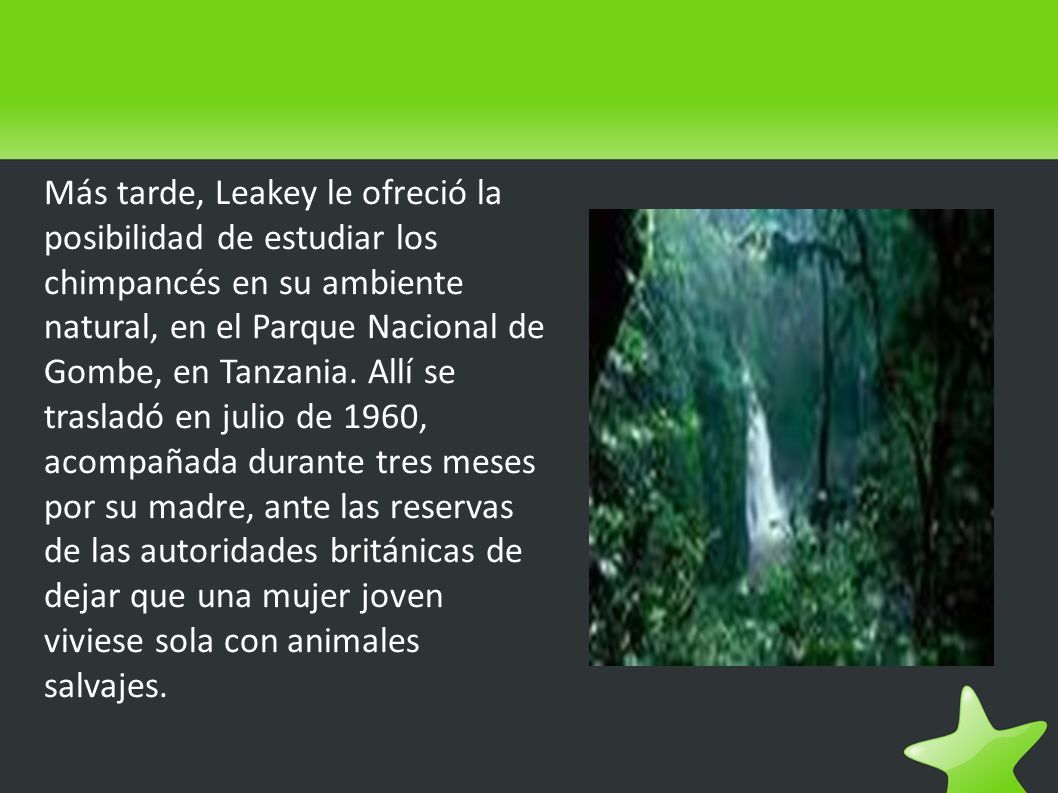 Más tarde, Leakey le ofreció la posibilidad de estudiar los chimpancés en su ambiente natural, en el Parque Nacional de Gombe, en Tanzania.