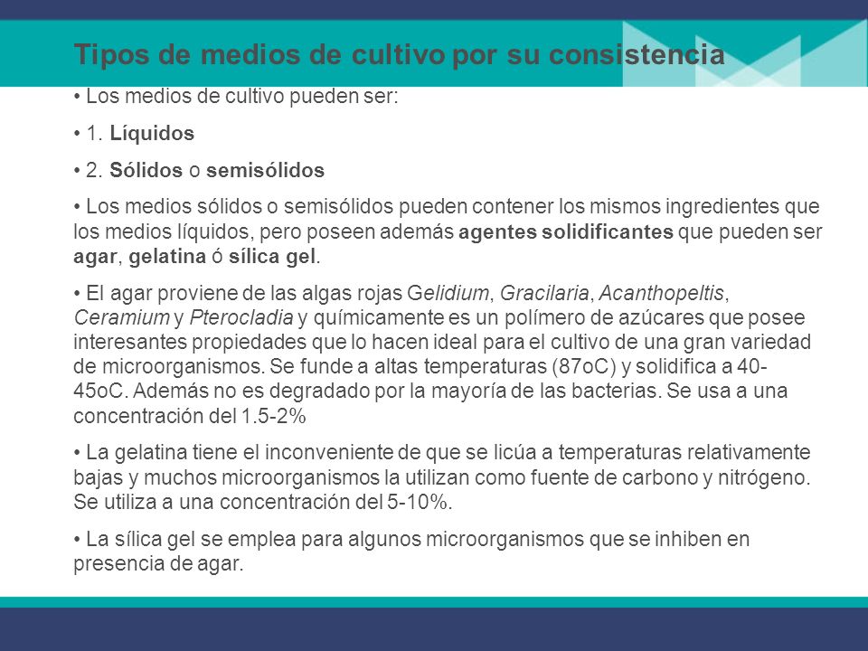 Tipos de medios de cultivo por su consistencia