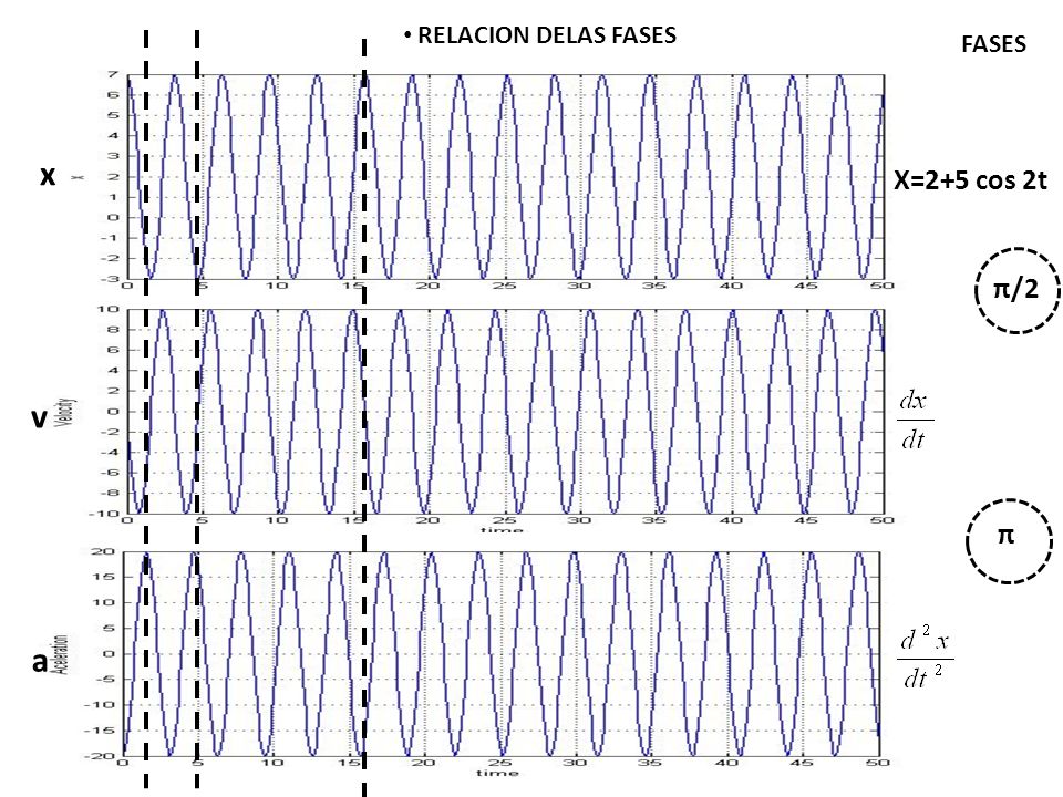 RELACION DELAS FASES FASES x X=2+5 cos 2t π/2 v π a