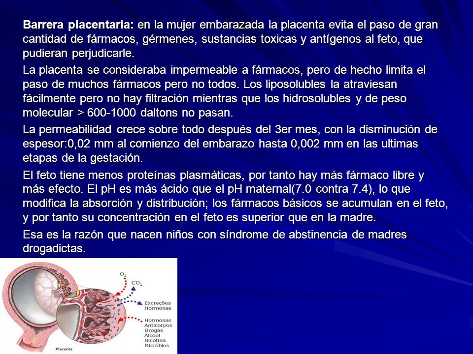 Barrera placentaria: en la mujer embarazada la placenta evita el paso de gran cantidad de fármacos, gérmenes, sustancias toxicas y antígenos al feto, que pudieran perjudicarle.