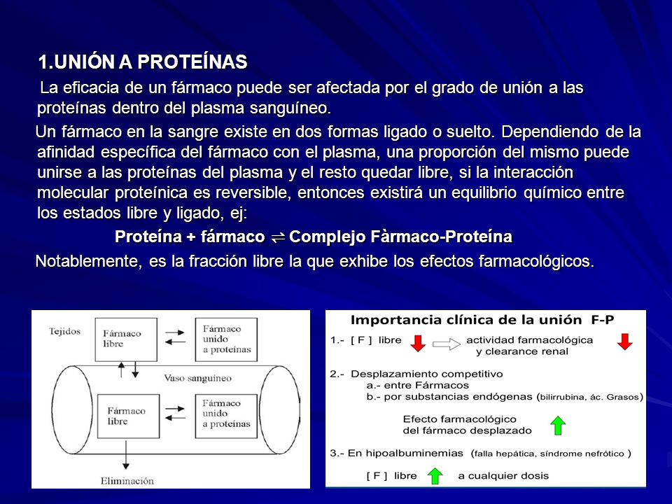 1.UNIÓN A PROTEÍNAS La eficacia de un fármaco puede ser afectada por el grado de unión a las proteínas dentro del plasma sanguíneo.