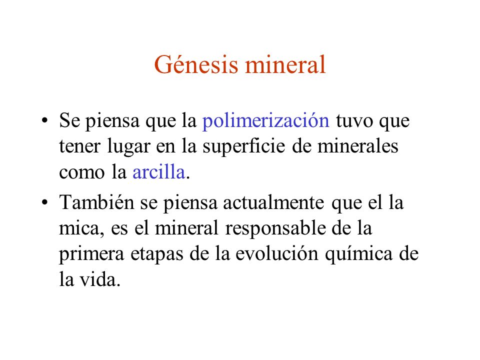 Génesis mineral Se piensa que la polimerización tuvo que tener lugar en la superficie de minerales como la arcilla.