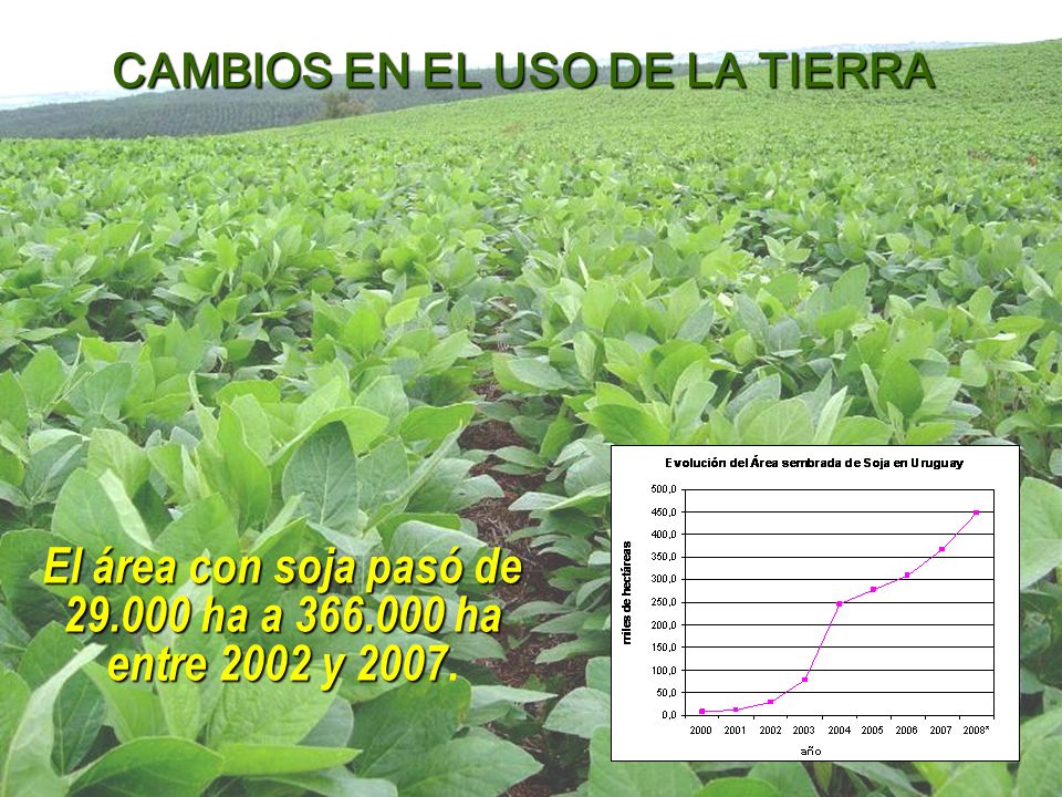 El área con soja pasó de ha a ha entre 2002 y 2007.