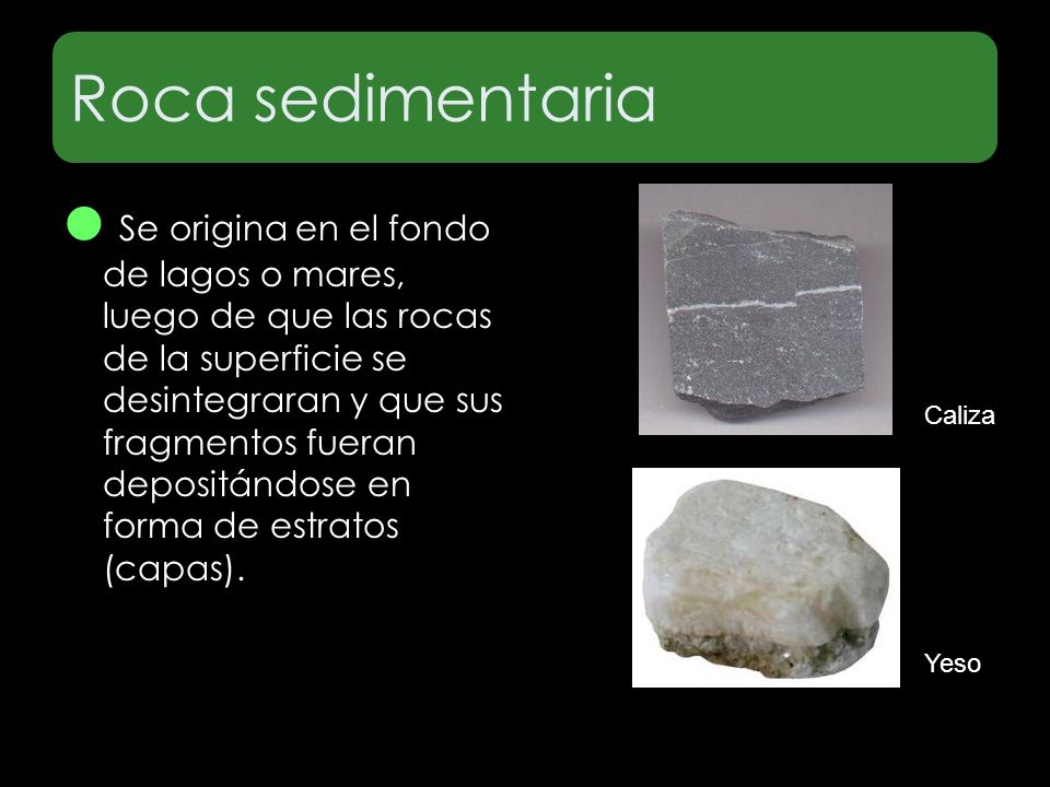 Roca sedimentaria