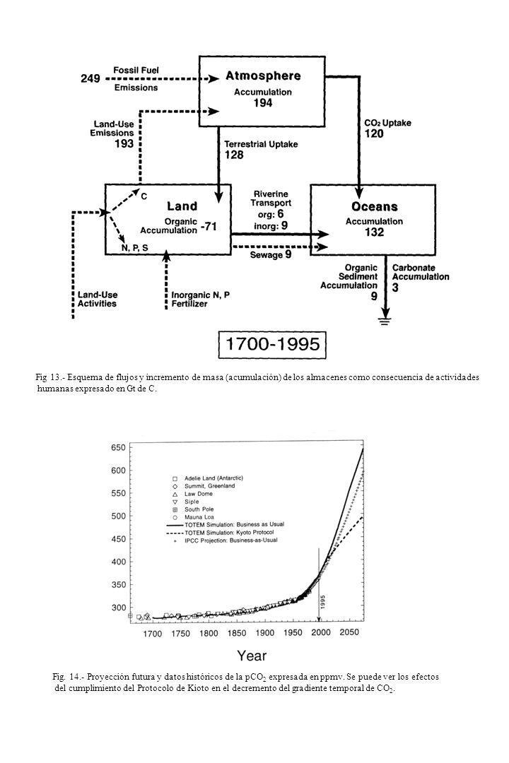 Fig 13.- Esquema de flujos y incremento de masa (acumulación) de los almacenes como consecuencia de actividades