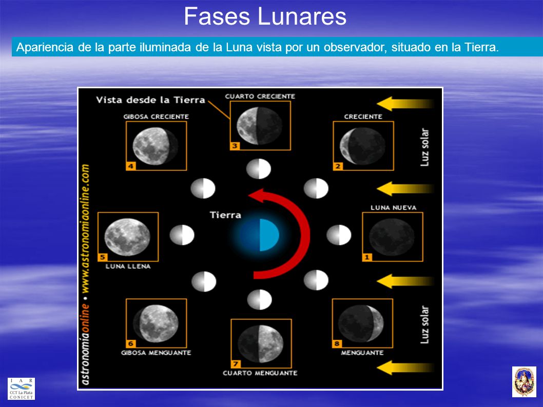Fases Lunares Apariencia de la parte iluminada de la Luna vista por un observador, situado en la Tierra.