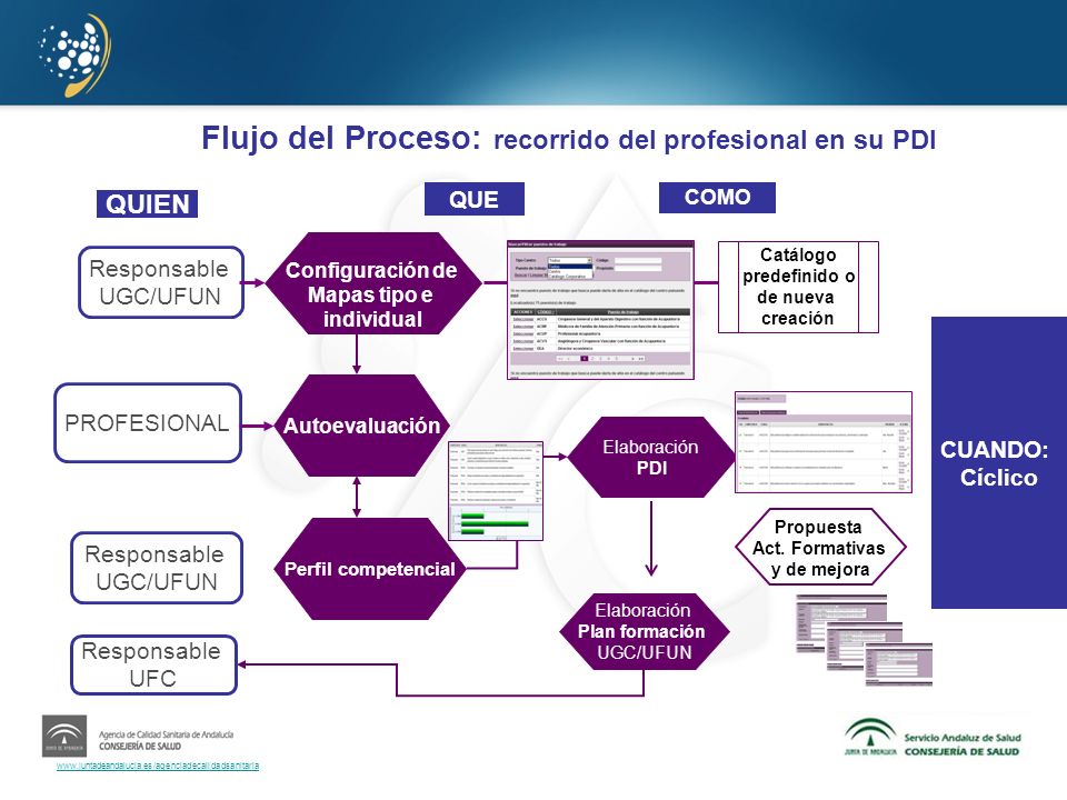 Flujo del Proceso: recorrido del profesional en su PDI