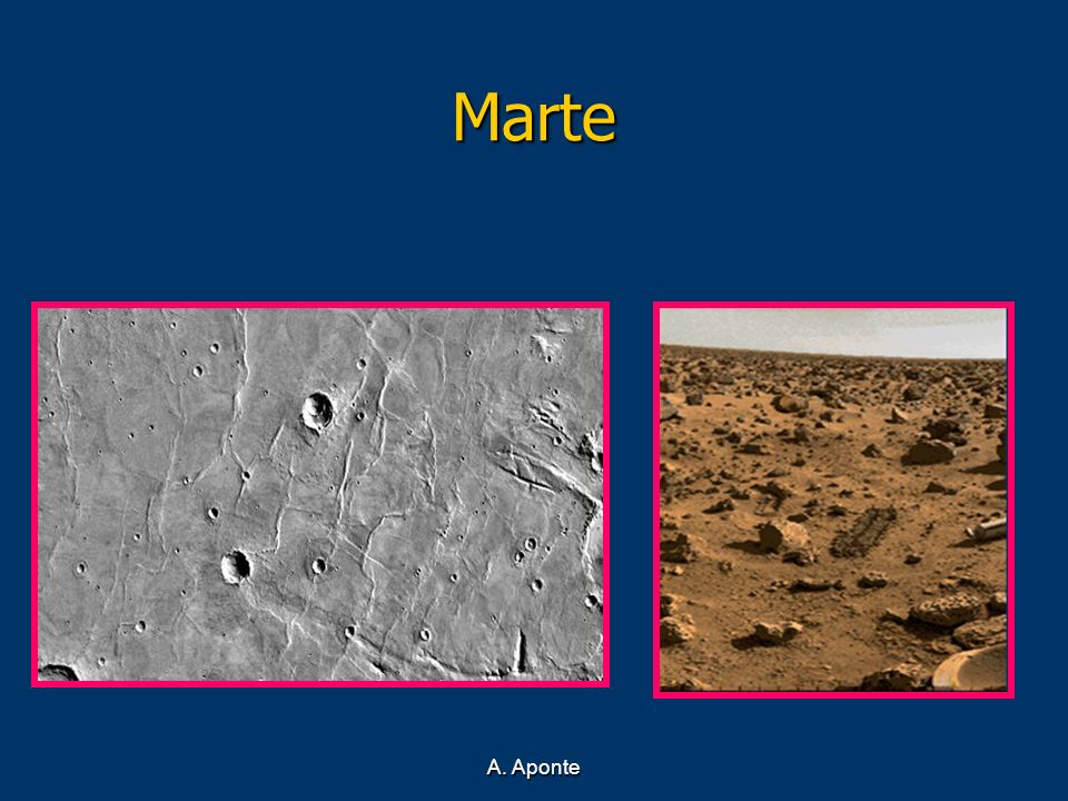 Marte A. Aponte