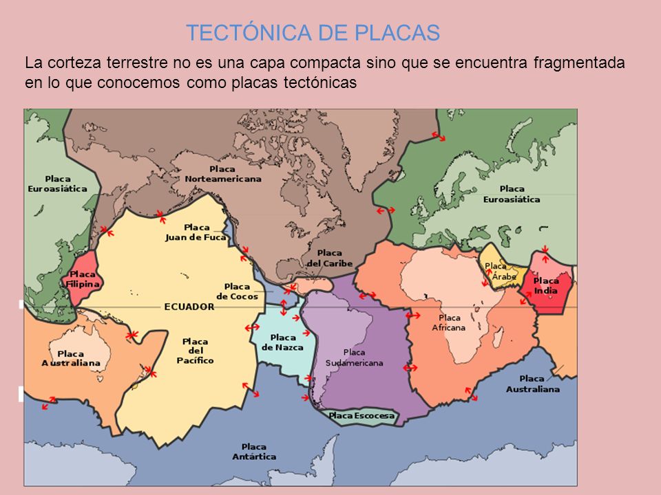TECTÓNICA DE PLACAS La corteza terrestre no es una capa compacta sino que se encuentra fragmentada en lo que conocemos como placas tectónicas.