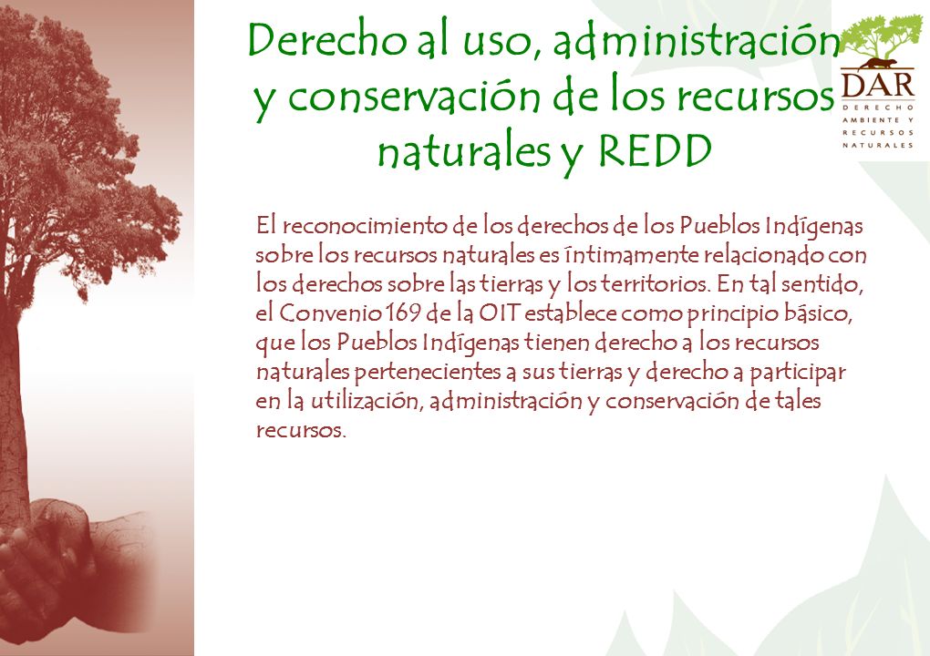 Derecho al uso, administración y conservación de los recursos naturales y REDD