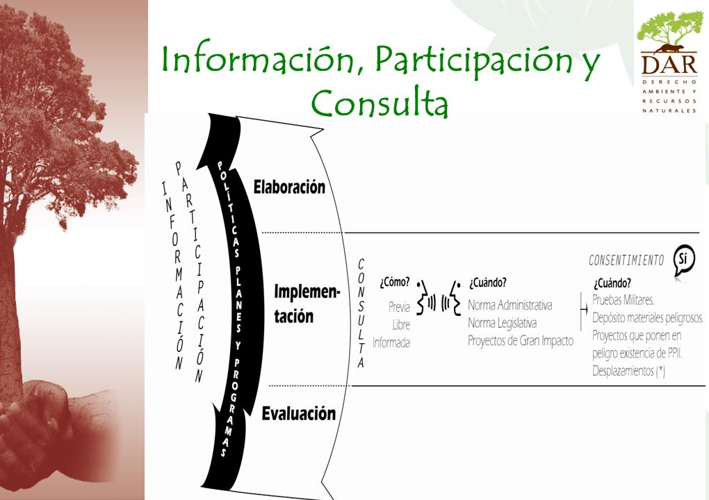 Información, Participación y Consulta