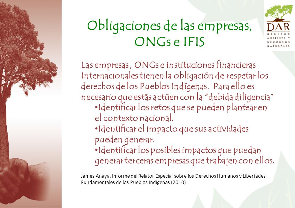 Obligaciones de las empresas, ONGs e IFIS
